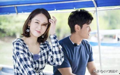 陈乔恩艾伦最新爆料,独家爆料揭秘背后真相