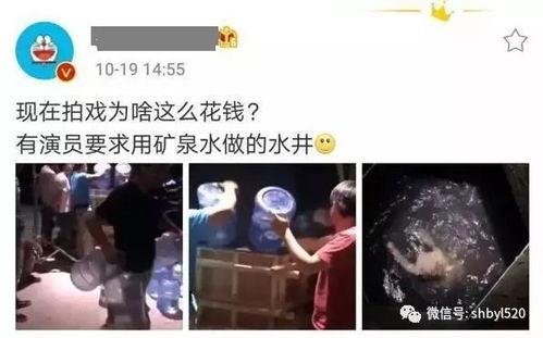 哈尔滨明星爆料视频最新,揭秘娱乐圈不为人知的秘密