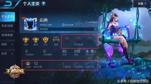 王者最新爆料复古红杏,复古红杏，探寻古代英雄传奇